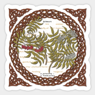 Tree Calendar Rowan Sticker